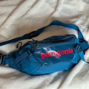Patagonia Blue Fanny Pack/ Crossbody bag (unisex)